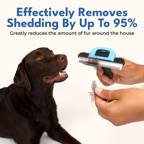 Deshedding Brush For Short Haired Dogs & Cats - Cat and Dog Brush For Shedding Short Hair - Highly Effective Deshedder Grooming Comb...