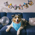 Dog Birthday Bandanas Boy Dog Birthday Outfit Decorations Scarf Gifts for Birthday Boy Dog Puppy Pet Happy Birthday Blue Dog Bandana Dog First Bir...