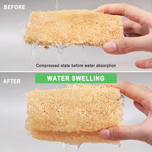Natural Loofah Sponges Individually Wrapped, Non Scratch Organic Luffa Sponge, Odor-Free Biodegradable Dishwashing Sponge Natural for Kitchen Clea...