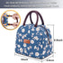 BALORAY Lunch Bag for Women Men Insulated Lunch Box for Adult Reusable Lunch Tote Bag for Work, Picnic or Travel (Morning Glory)...