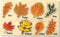 Leaf Wooden Jigsaw Puzzles Educational Learning Stem Toys Boys Girls Birthday Gift Colorful Shape...