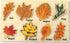 Leaf Wooden Jigsaw Puzzles Educational Learning Stem Toys Boys Girls Birthday Gift Colorful Shape...