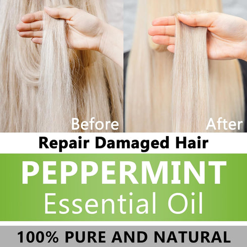 Peppermint Essential Oil 100% Pure & Natural Organic (1 Fl. Oz) for Humidifiers, Skin Care, Massage, Aromatherapy, Premium Delicate Grade with Gla...