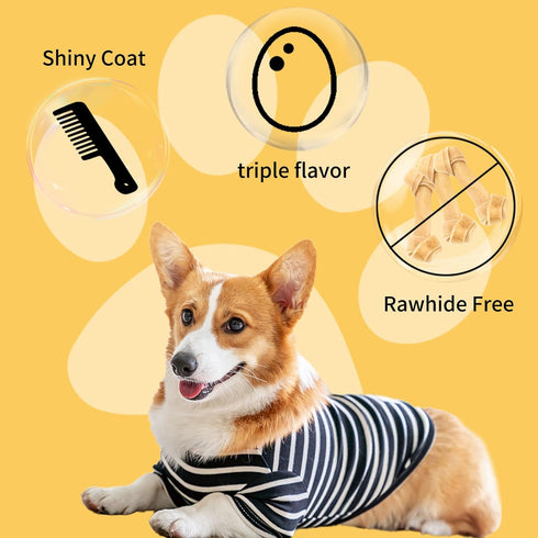 ASMPET Dog Triple-Flavor Treat Twists Stick, Non-rawhide Chicken Chews w/Fish & Duck, Nutritious All Natural Ingredients Dog Treats for Small, Med...