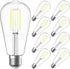 SHINESTAR Edison LED Light Bulbs, Dimmable E26 LED Bulb 60 watt, 6W High Brightness 4000K Daylight white, ST58 Antique LED Filament Bulbs with 80+...
