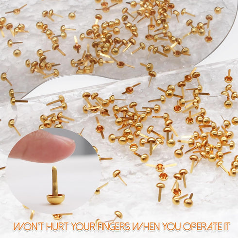 EuTengHao 300Pcs Brass Fasteners Scrapbooking Brads Round Head Brass Plated Fasteners for Craft Art Crafting School Project Decorative Scrapbookin...
