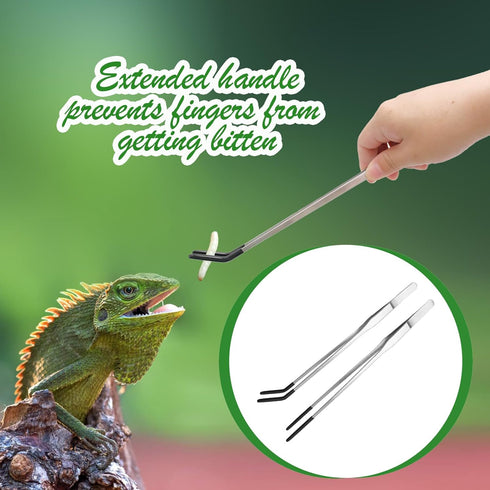 4 Pcs Extra Long Stainless Steel Reptile Feeding Tongs Rubber Tip Bearded Dragon Aquarium Straight and Curved Long Tweezers Terrarium Feeder Tool ...