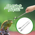 4 Pcs Extra Long Stainless Steel Reptile Feeding Tongs Rubber Tip Bearded Dragon Aquarium Straight and Curved Long Tweezers Terrarium Feeder Tool ...