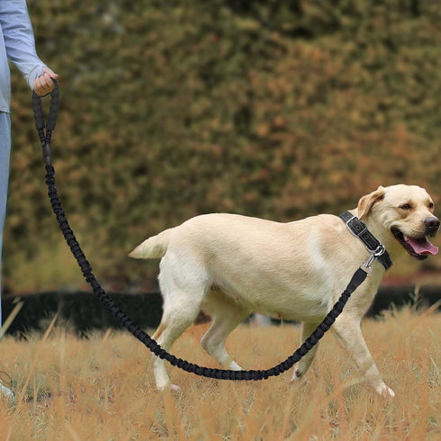 Dog Leash with Comfortable Padded Handle and Highly Reflective Threads, 360-Degree No Tangles and Comfortable Padded Handle,Suitable for Small,Med...