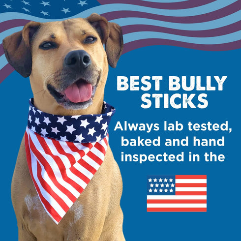 Best Bully Sticks 2-4 Inch Junior Bully Sticks for Dogs - 100% Natural, Grass-Fed Beef, Dog Bully Sticks for Small Dogs, Puppy, Mini Breeds - Grai...