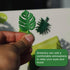 Plant Fridge Magnets,8 Pcs Mini Tropical Leaves Refrigerator Magnets Cute Magnets for Locker Fridge Home Office Decor, 3D Monstera Plant Refrigera...