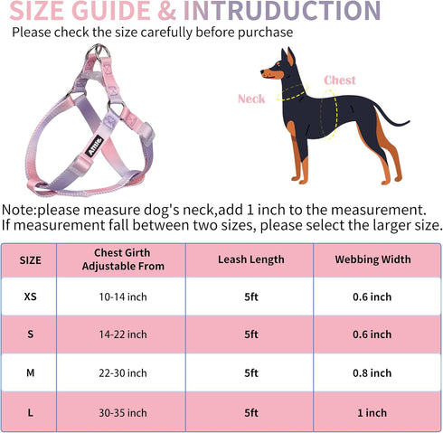 AIITLE No Pull Small Dog Harness and Leash Set - Escape Proof/Quick Fit Dog Halter Harness,Easy for Training Walking - Sturdy Transparent Buckle -...