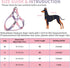 AIITLE No Pull Small Dog Harness and Leash Set - Escape Proof/Quick Fit Dog Halter Harness,Easy for Training Walking - Sturdy Transparent Buckle -...