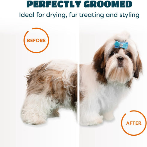 Pet Hair Dryer | 2-in-1 Pet Dryer with Slicker Brush | Dog Hair Dryer | Cat Dryer | Dog Blow Dryer | Pet Grooming Dryer | For Small and Medium-Siz...