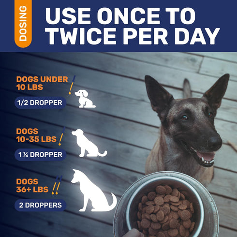 Antibiotic for Dogs ? Dog Antibiotic ? Natural Antibiotics for Dogs ? Pet Antibiotic ? Dog Antibiotics with Beef Flavor ? 2 Oz...