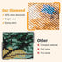 EOBROMD Landscape Jesus Diamond Art Painting Kits, Paint by Number Kits for Adults Beginners DIY Paint Picture with Full Drill Diamond Dots for Ho...
