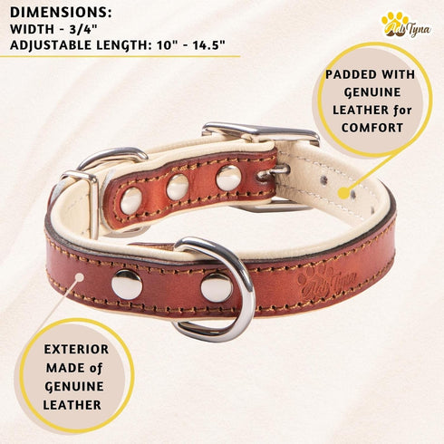 ADITYNA - Heavy-Duty Premium Leather Dog Collar for Small Dogs - Padded with Soft Genuine Leather for a Cozy Feel...