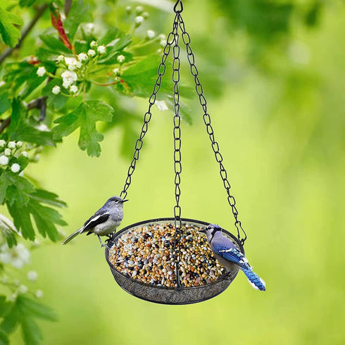 Hanging Bird Feeder, Bird Feeder Hanging for Garden Yard Outside Hanging Bird Feeder Tray - Metal Mesh Platform Feeders for Birds Outside Outdoors...