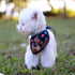 Large Spring Dog Bandanas 4Pack,Dog Scarf,Dog Birthday Bandana,dog bandanas boygirl,Premium Durable Fabric,Adjustable Fit,Unique Shape,Provide Var...