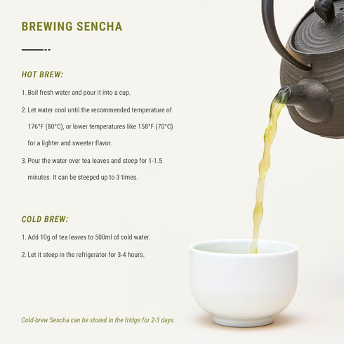 Senbird Premium Sencha - Japanese Green Tea - From Shizuoka, Japan - Loose Leaf Tea In Airtight Tea Tin (3.5oz/100g)...