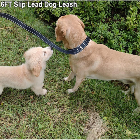 6FT Slip Lead Dog Leash Anti-Choking, Reflective Strong Nylon Flat Dog Leash, No Pulling Dog Training Leash for Small Medium and Large Dogs/Pets (...