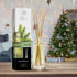 Pine Reed Diffuser 3.4 Fl Oz - Fresh & Long Lasting Coniferous Aroma - Pine Scented Diffuser - Home - Gift Set for Aromatherapy - Great Room Air F...