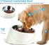 Tilted Angle Dog Bowl, 15° Slanted Stainless Steel Dog Cat Food Bowl, Non-Slip & Non-Spill Pet Feeder with Elevated Detachable Melamine Stand, Eas...