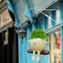 Face Plant Pot,Succulent Pots,Small Flower Pots,Gift Planter with Drainage Hole,Unique Cute Plastic Flower Pot with Face,Novelty Planter,Hanging P...