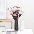 VanEnjoy 7" Desktop Minimalist Black Ceramic Vases Home Office Decoration Frosting Finish Vase (Medium Plain)...