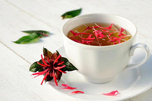 Wild Bergamot Petals – Pure, Dried, Natural Scarlet Beebalm Petals (Monarda Didyma) - Net Weight: 0.1oz/3g - Edible, Extremely Rare - Beautiful Ey...