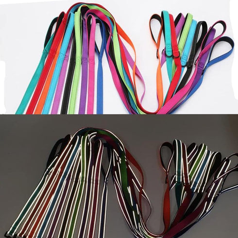 Reflective Nylon Dog Leash - Heavy Duty Padded Two Handle Reflective Leash for Night Safety Training for Small Medium Large Breed Pet Dogs (Light ...