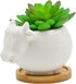 Cuteforyou Succulent Pots,Cute Cartoon Ceramic Succulent Cactus Flower Pot,Pencil Holders,Desk Accessories, Makeup Brush Storage Stand-Plant Not I...