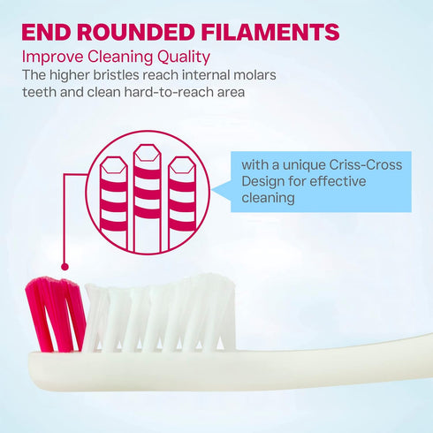 Falcon Toothbrush with Curved Filaments, Deep Reach (Family Care - Soft Bristles), 4 Colors - 12 Count (Pack of 1)...