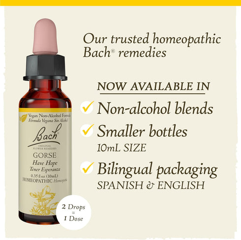 Bach Original Flower Remedies, Gorse for Hope (Non-Alcohol Formula), Natural Homeopathic Flower Essence, Holistic Wellness and Stress Relief, Vega...