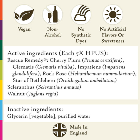 Bach Original Flower Remedies, Ready To Go Kit, For Travel Stress (Non-Alcohol Formula), Natural Homeopathic Flower Essence, Vegan, 3 x 10mL Dropp...