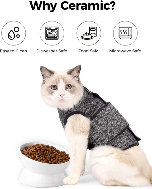 Elevated Cat Food Bowl, 5 Oz Ceramic Raised and Tilted Water Bowl, Anti Vomiting and Protect Pets' Spines Dishes for Small Dog, Fat Faced Cat, Kit...