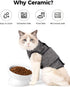 Elevated Cat Food Bowl, 5 Oz Ceramic Raised and Tilted Water Bowl, Anti Vomiting and Protect Pets' Spines Dishes for Small Dog, Fat Faced Cat, Kit...