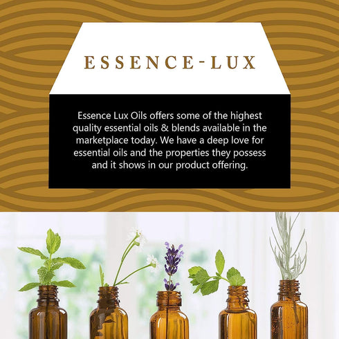 60ml Oils - Helichrysum Essential Oil - 2 Fluid Ounces - Helichrysum Oil - Helichrysum Essential Oil Therapeutic Grade...