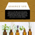 60ml Oils - Helichrysum Essential Oil - 2 Fluid Ounces - Helichrysum Oil - Helichrysum Essential Oil Therapeutic Grade...