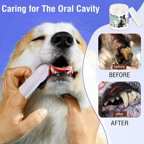 Pet Teeth Cleaning Finger Wipes for Dogs & Cats, Dog Dental Wipes for Removing Plaque and Tartar Buildup, No-Rinse Disposable Gentle Cleaning & Gu...