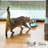 Felli Pet Oblik Anti Whisker Fatigue Cat Bowl Raised Stainless Steel Angled Wide Shallow Dish for Dry Wet Food, Vomit & Spill Proof Tilted Elevate...