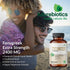 Futurebiotics Fenugreek Extra Strength 2400 MG Supports Overall Good Health & Well-being, Non-GMO, 300 Vegetarian Capsules...