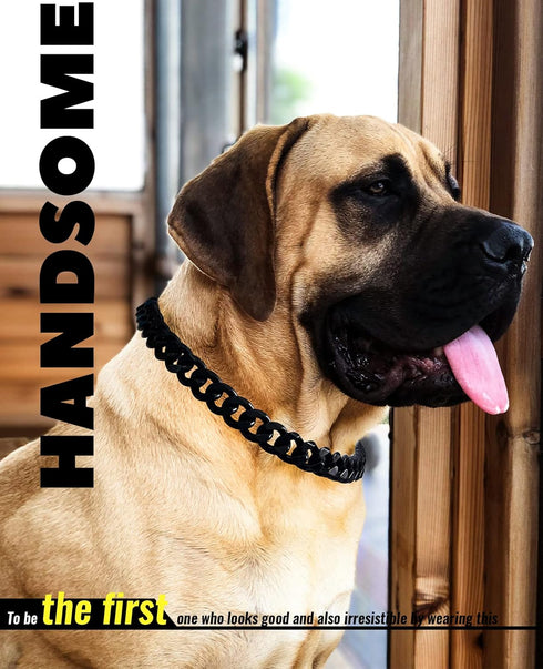 Cuban Link Dog Collar - 3/4 in Wide Metal Chain Dog Collar Venom Black, The Newest Design Stunning Pet Accessory, Cute Luxury Jewelry Costume 24 i...