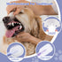 3PCS Cat Toothbrush Kit, Dog Toothbrush Kit, Pet Toothbrush Set for Cats and Dogs - Complete Oral Care with Soft Bristles - Ideal for Teeth Cleani...