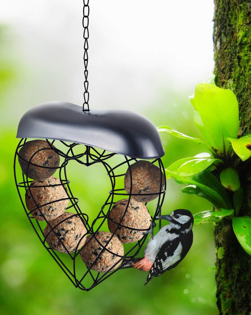 Hanging Wild Bird Feeder, Suet Ball Bird Feed Dispenser, Suet Ball Holder for Outside, Fat Ball Feeder, Heart Shaped...
