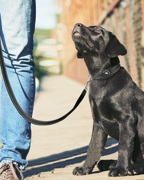 6ft Dog Leash for Small Medium Large Dogs | One-Sided Reflective Nylon | Padded Handle | 3/4 inch Wide | Black...