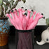 MIAO YUAN 20PCS Cute Pink Flamingo Gel Pens Gift for Child, Women, Coworkers, Hostess and Girlfriend, Great Party Supplies and School Supplies, Bl...