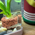 Rainmae 16 Pcs Aquatic Water Plant Fixed Rings, Water Plants Cultivation Fixed Ring Aquatic Water Plant Fixed Ring Ceramic Plant Pot, Landscape Ce...