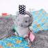 Mary Meyer Taggies Taggies Heather Hedgehog Character Blanket...
