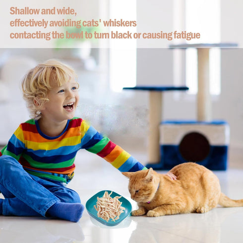 Cat Food Bowl Set 6 inch Wide Shallow Cat Bowls for Relief Whisker Fatigue,Small Flat Cat Dish, Shallow Pet Feeding Dish or Plate for Cats and Sma...